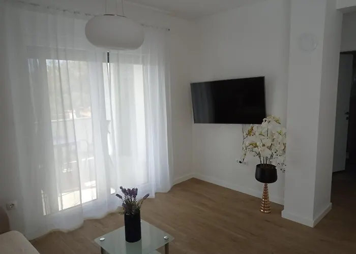 Franc S Apartamento Vir